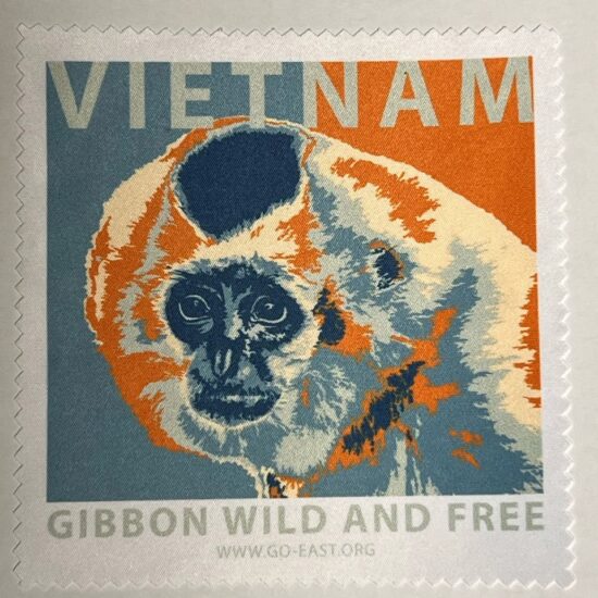 Wild & Free Glass Cleaning Cloth- Gibbon